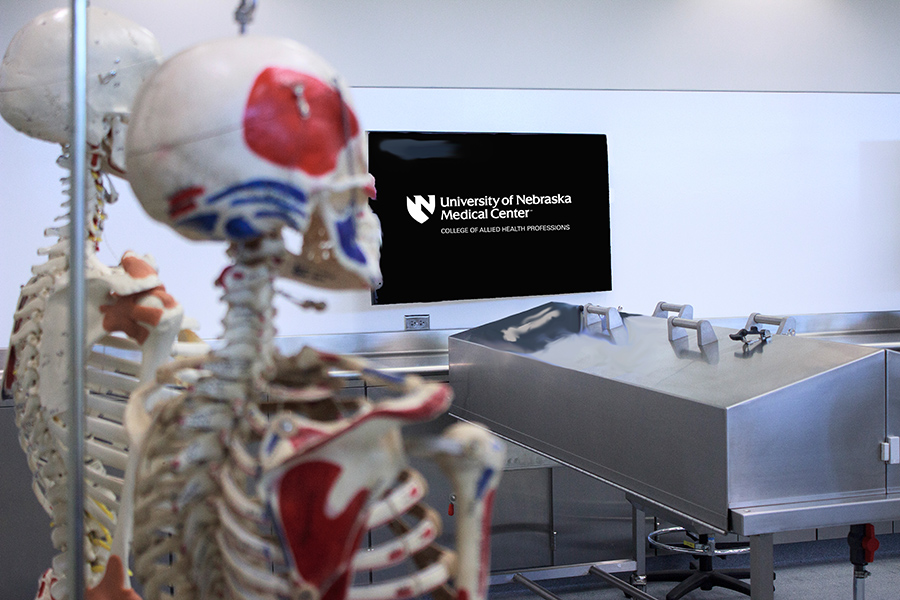 anatomy lab with skeleton models