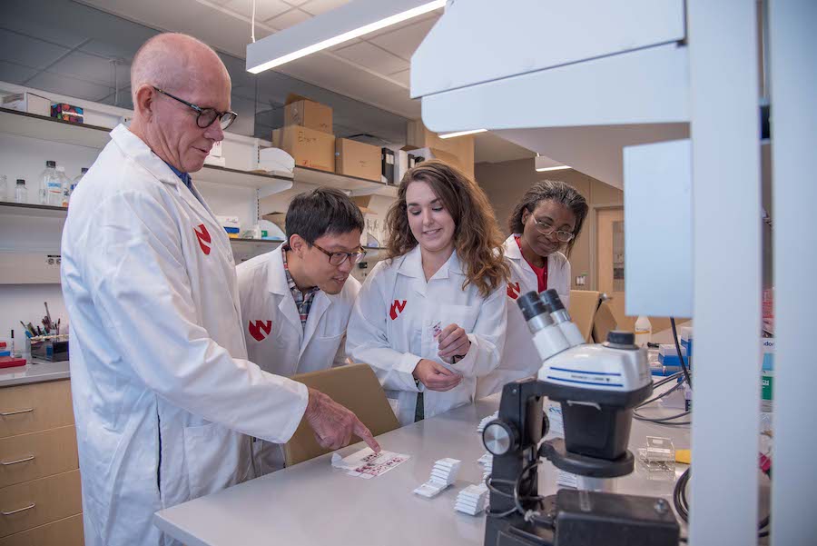 Research scientist doing research in the lab