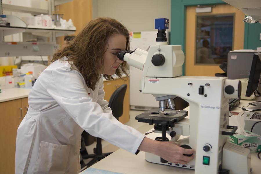 Scientist using microscope