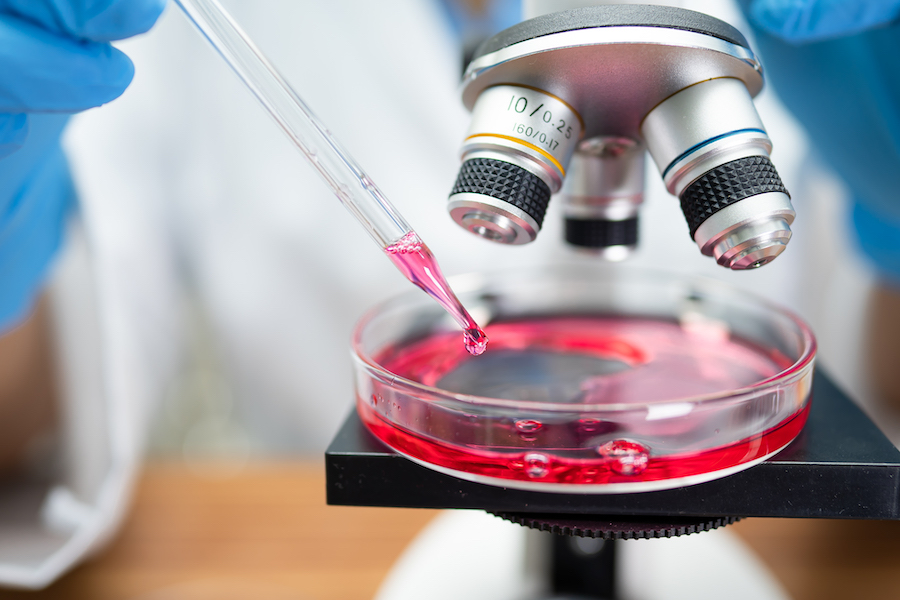 Scientist using microscope