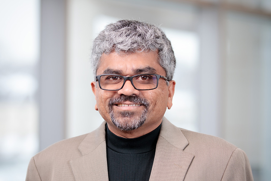 Amarnath Natarajan Professor PhD