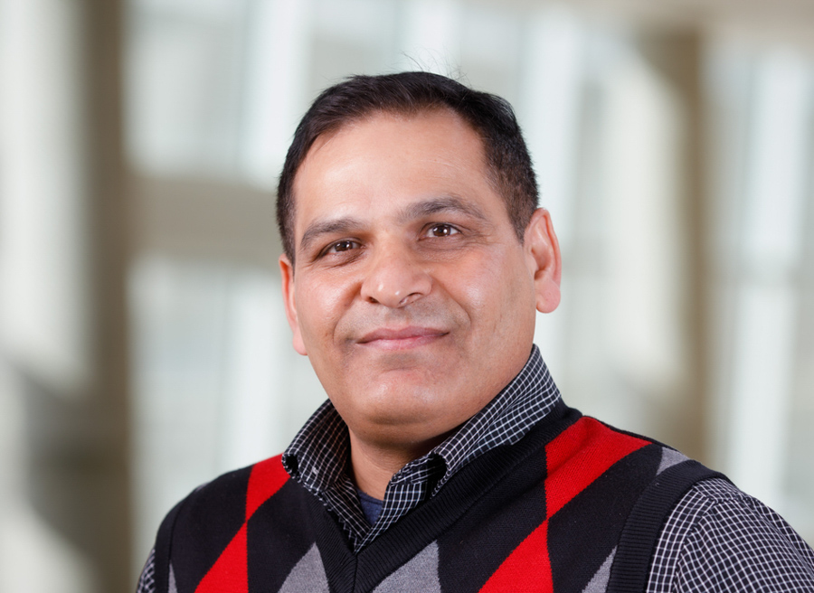 Nagendra Chaturvedi Assistant Professor PhD
