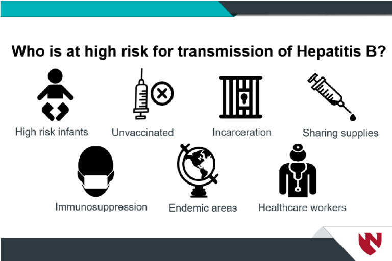 Hepatitis B Virus And Interpretation Of Serology In Clinical Course | E ...