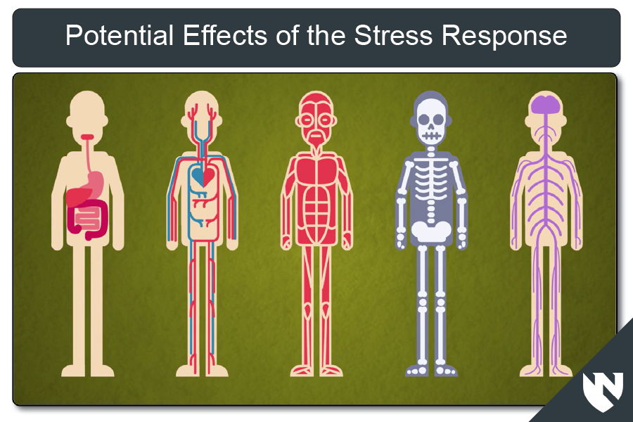 Screenshot of critical incident response in healthcare module