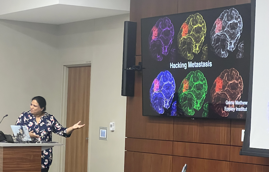 Eppley faculty giving a talk in a podium