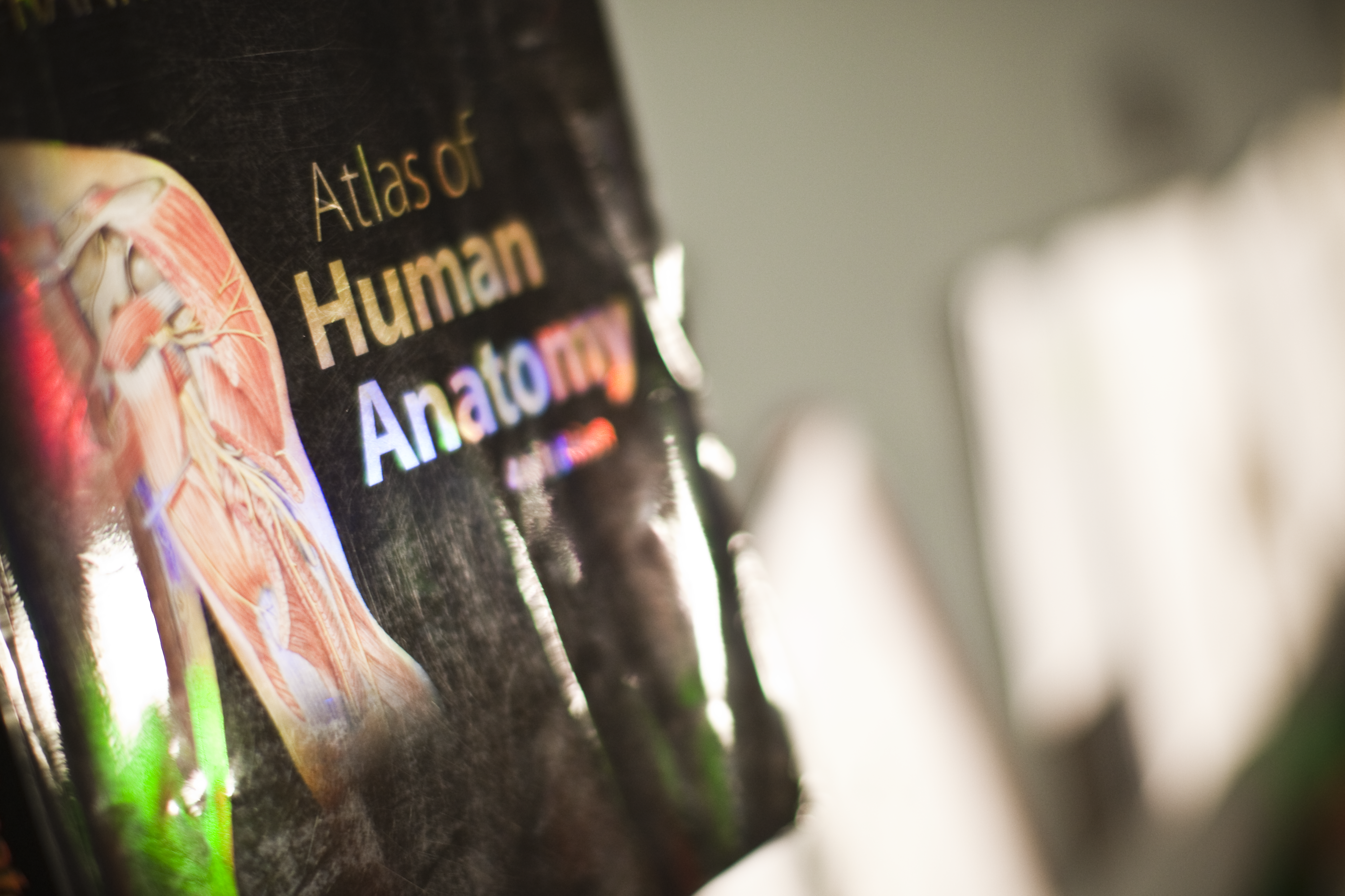 atlas of human anatomy textbook