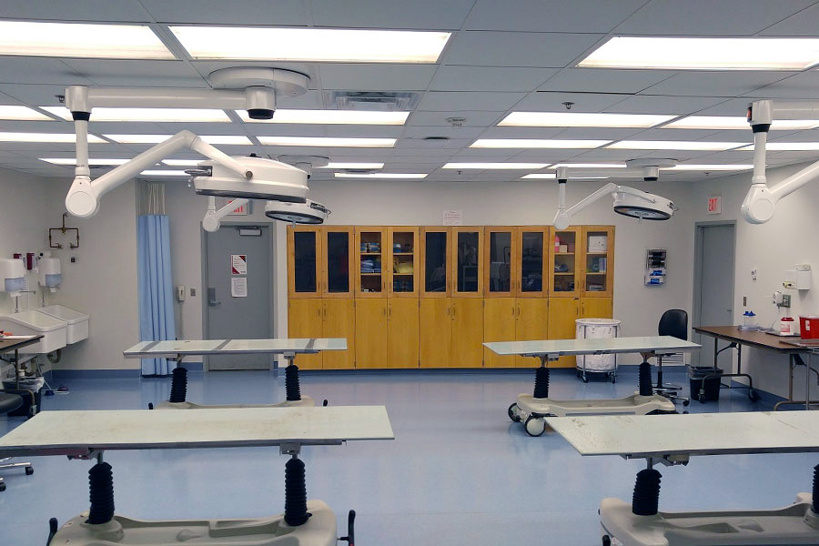 Image of inside the anatomy lab.