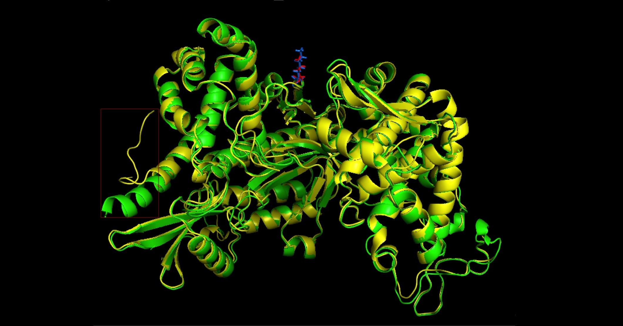 Altered Protein Structure of DPP3