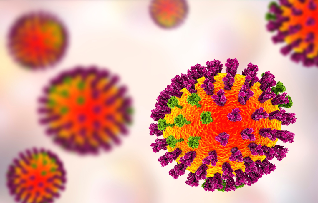 H5N1 Virus