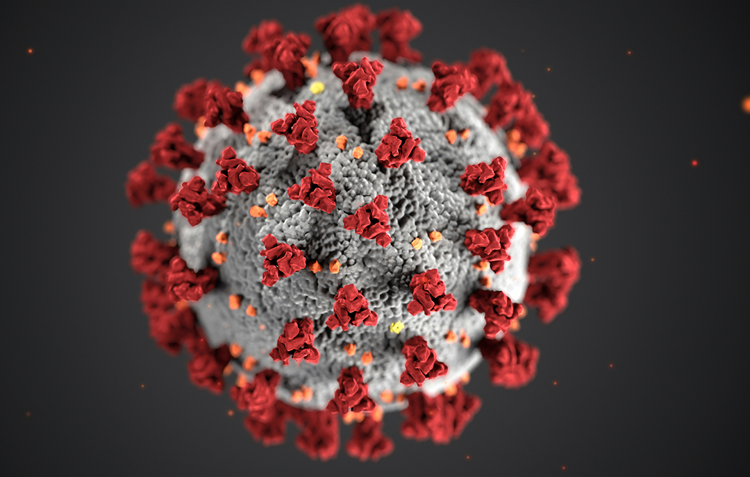 COVID-19 Virus