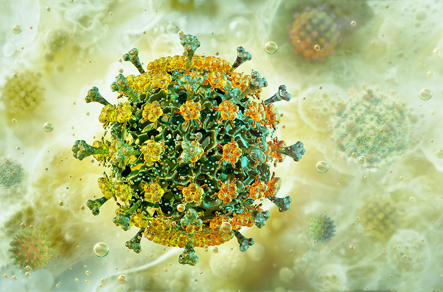 H9N2 Virus