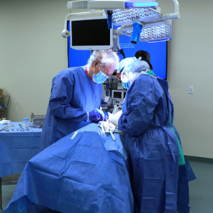 surgeons practicing heart surgery techniques