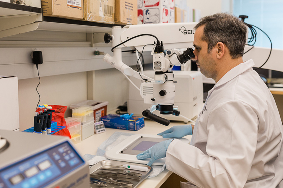 Researchers from the UNMC division of nephrology at work in their lab.