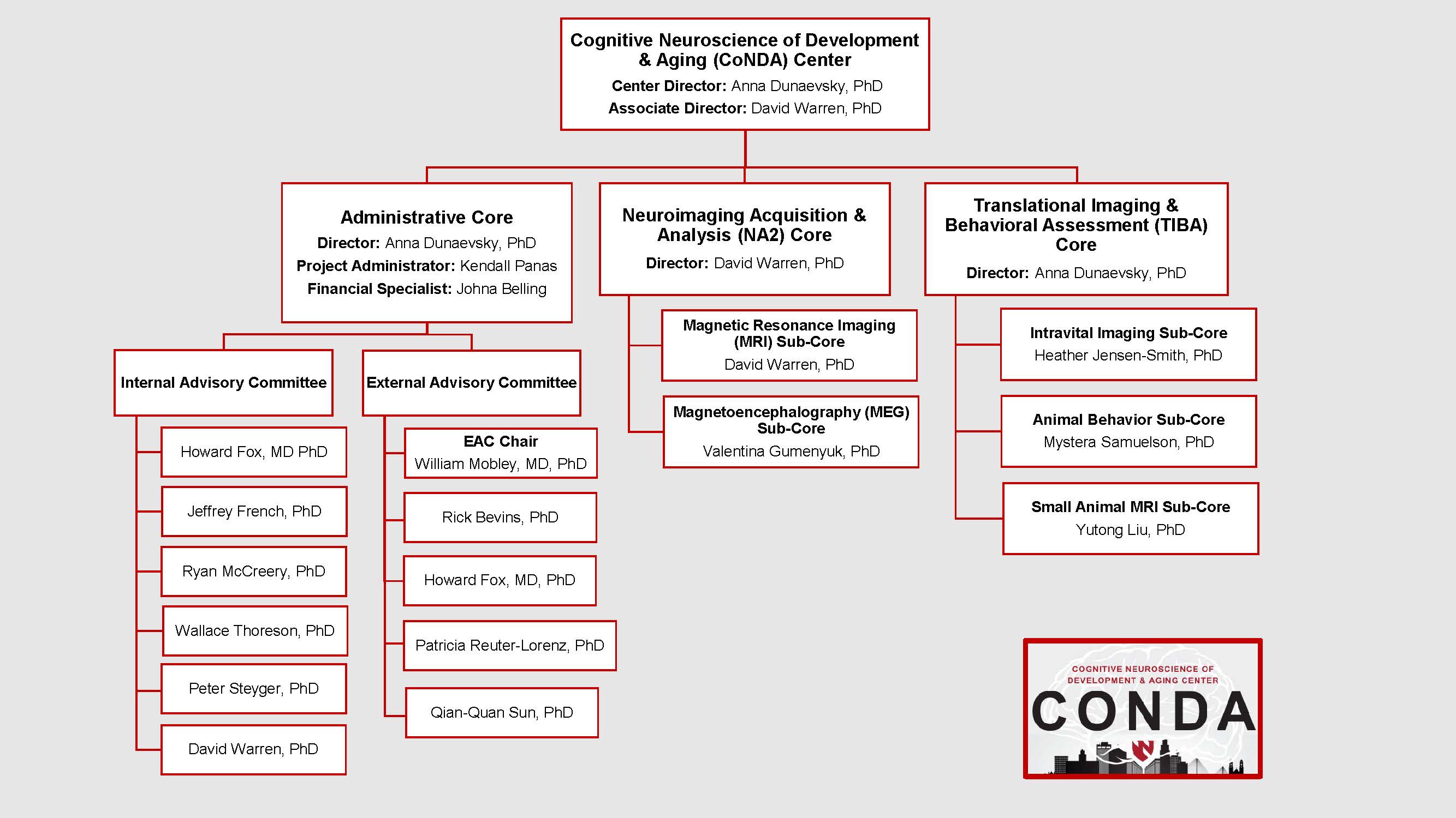CoNDA Center Organization Chart