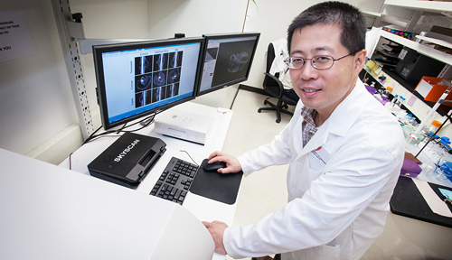 Dong Wang, Ph.D.