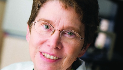 Dr. Anne Kessinger