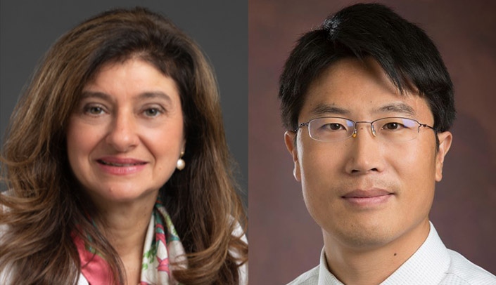 Anna Spagnoli&comma; M&period;D&period;&comma; and Tieshi Li&comma; Ph&period;D&period;&comma; headed the research team that discovered a potential disease-modifying drug for osteoarthritis&period;