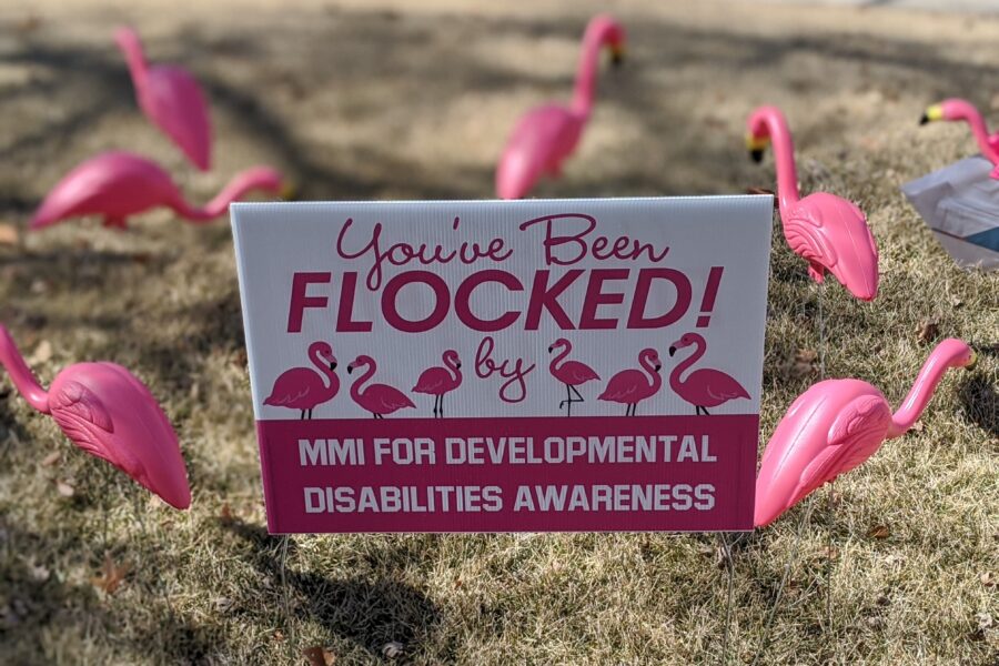 Flamingos will be placed in yards to raise awareness during Developmental Disability Awareness Month&period;