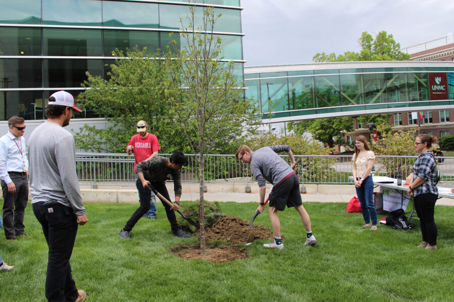 The med center&apos;s newest tree is a Japanese Lilac tree named &OpenCurlyDoubleQuote;Kibo&comma;” which means &OpenCurlyDoubleQuote;hope” or &OpenCurlyDoubleQuote;aspiration” in Japanese&period;