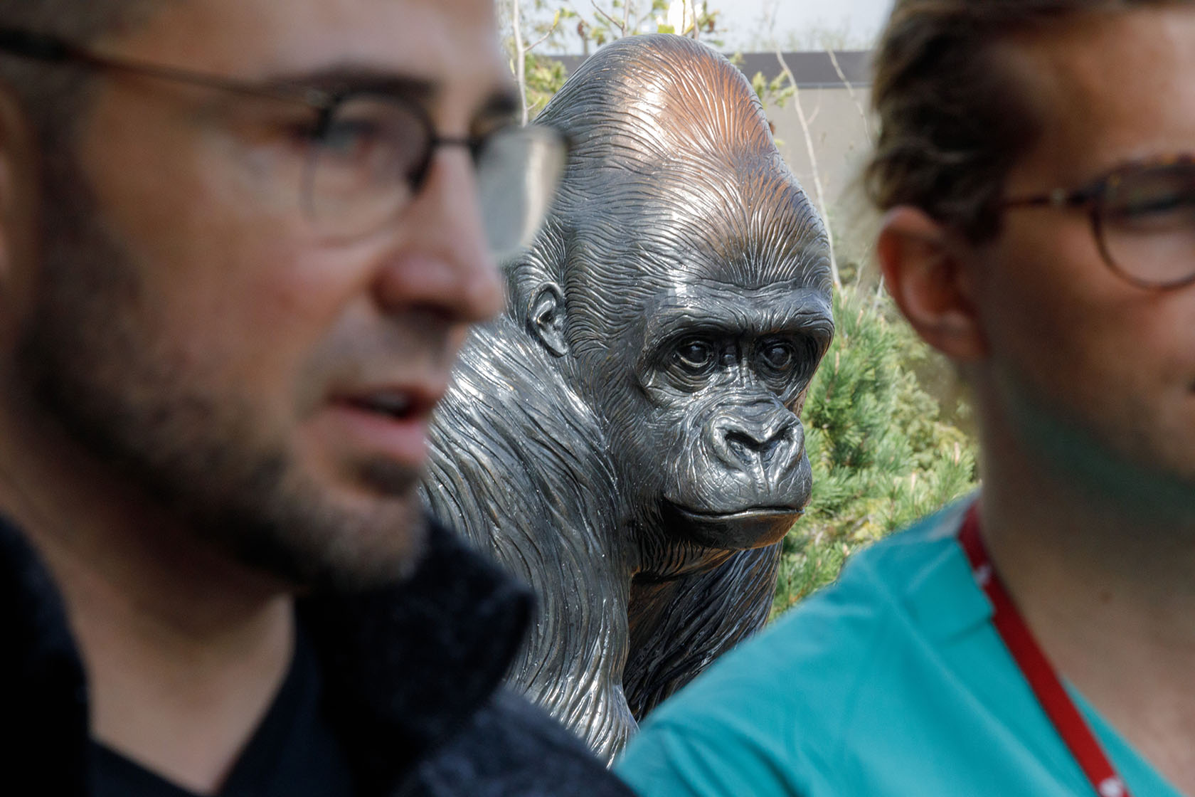 A discussion about the Great Ape Heart Project