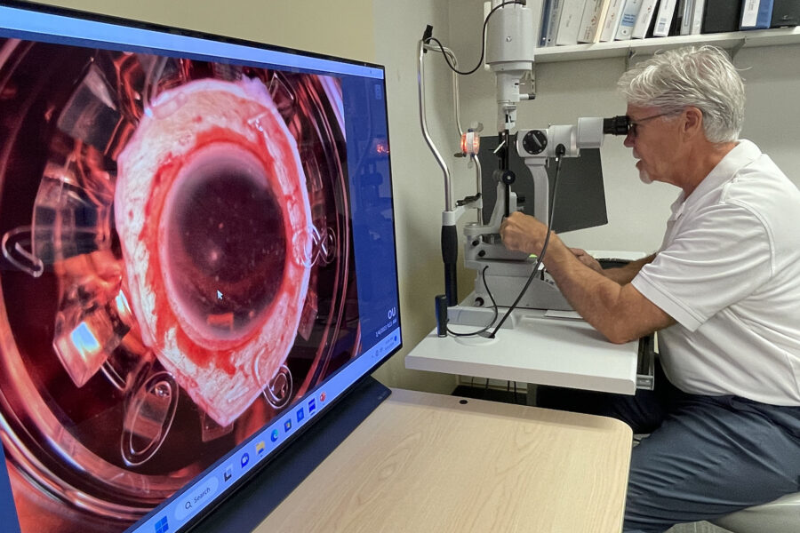 Curt Coughlin looks at a cornea that is showing cell death&period;