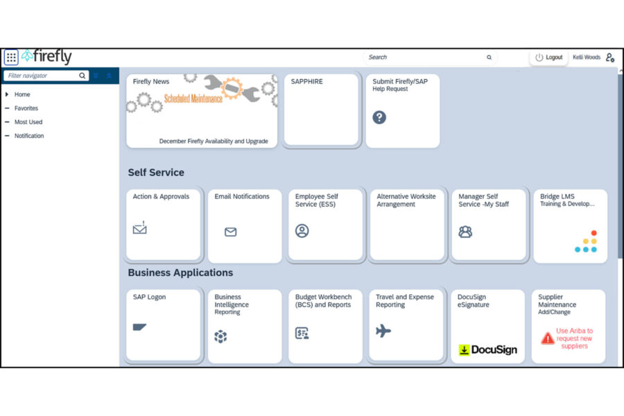 The Firefly interface