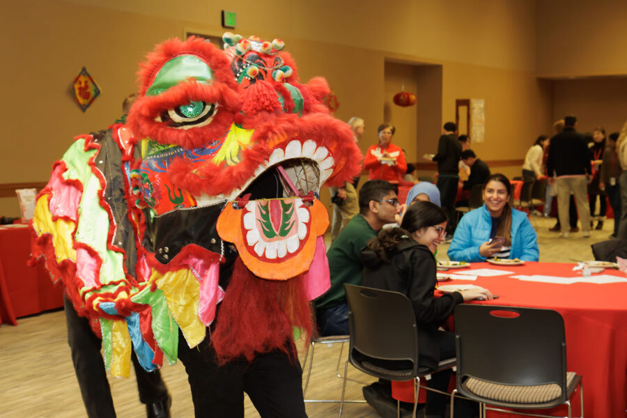 A Chinese dragon costume