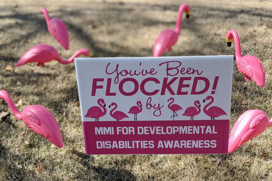 A sign and pink flamingoes help raise awareness of Developmental Disabilities Awareness Month&period;