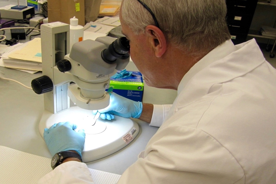 Technician looking through microscope in lab