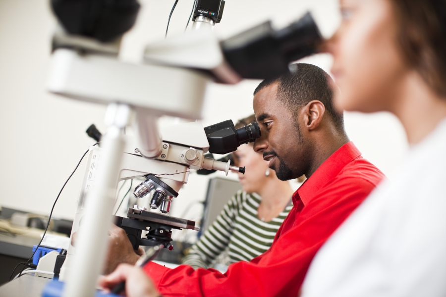 Students look through microscopes.