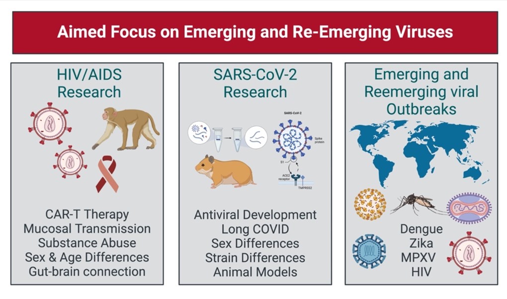 emerging_viruses_byrareddy.jpg