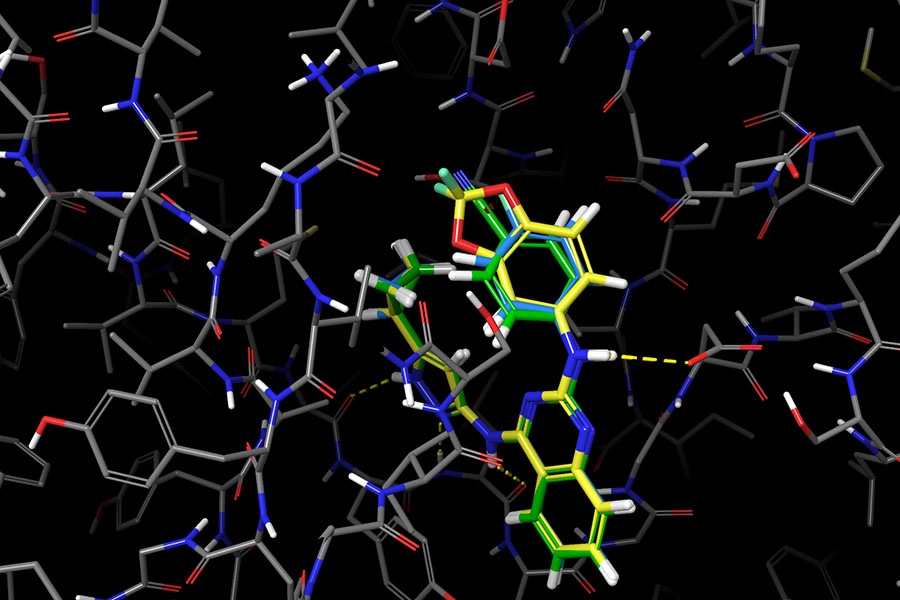 an image of a compound bound in a receptor