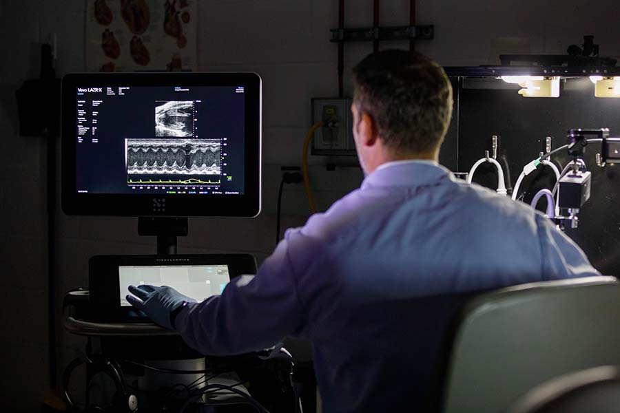 Imaging work in the Echocardiography Imaging core.