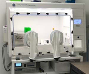 A HypOxystation H135 controlled environment chamber and IncuCyte S3 Live-Cell Analysis System.