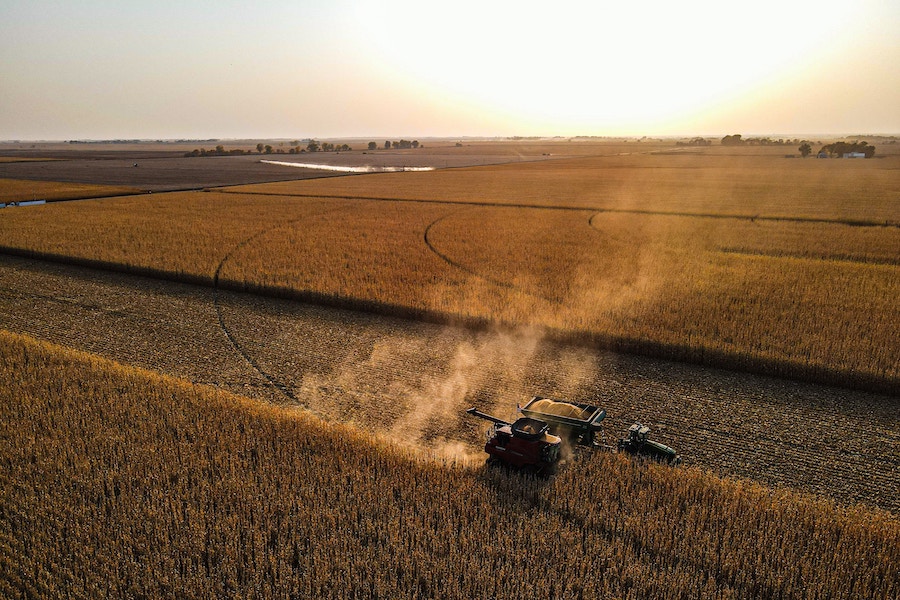 A field being harvested.