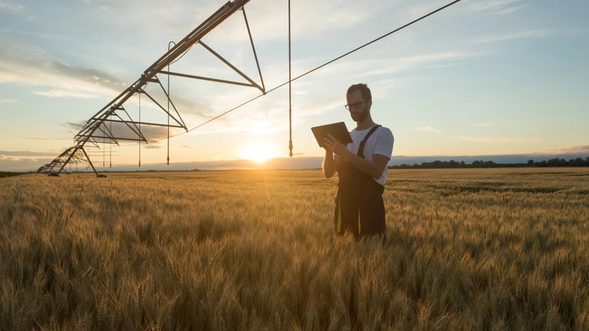 Farmer standing in the middle of a field looking at a tablet. 