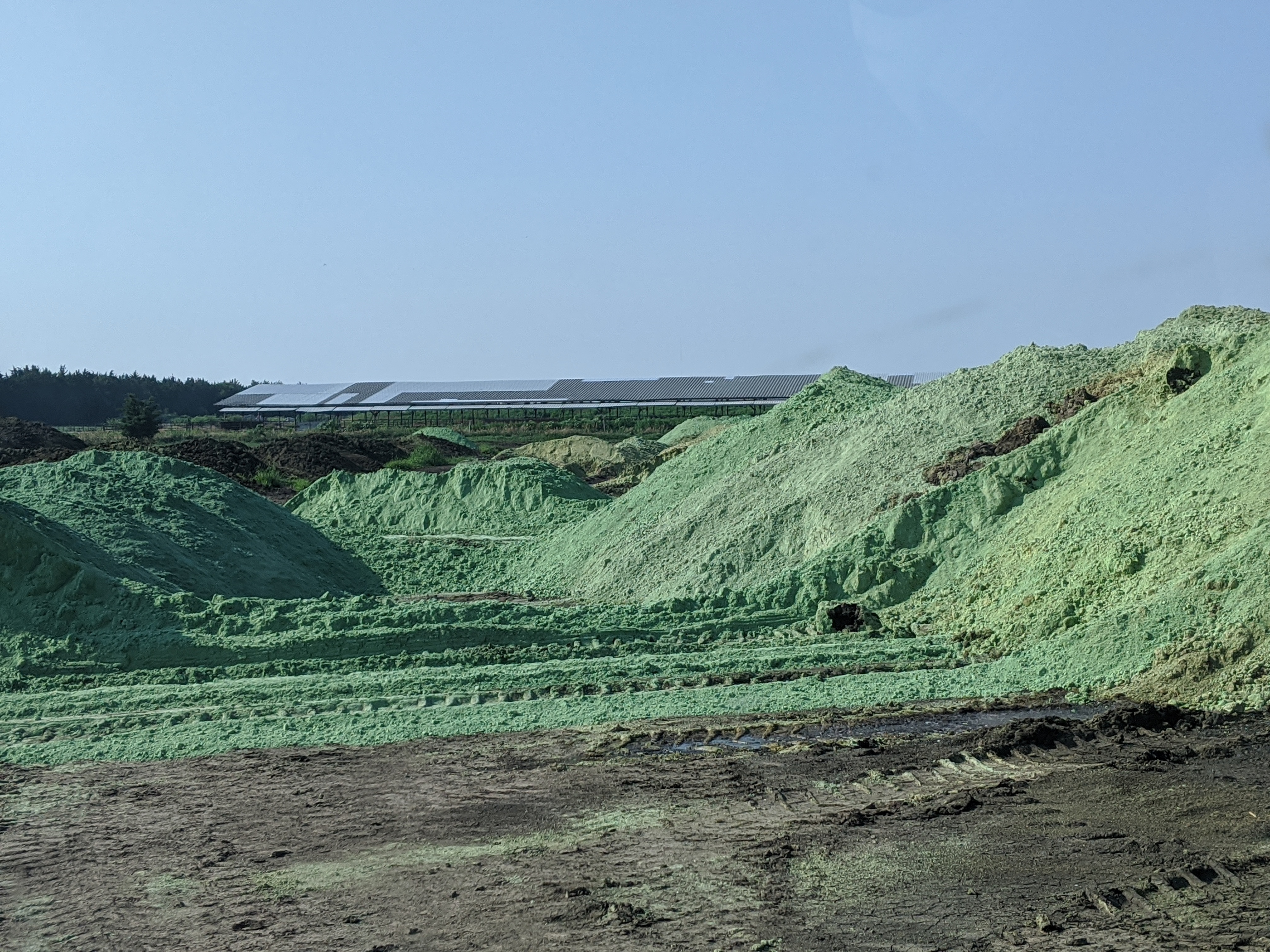 A large hill of green wetcake. 