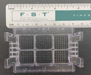 Six-well plate used for X-Clarity system