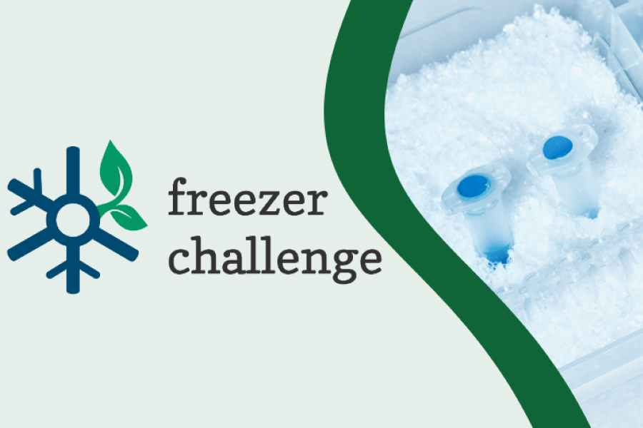 Freezer Challenge