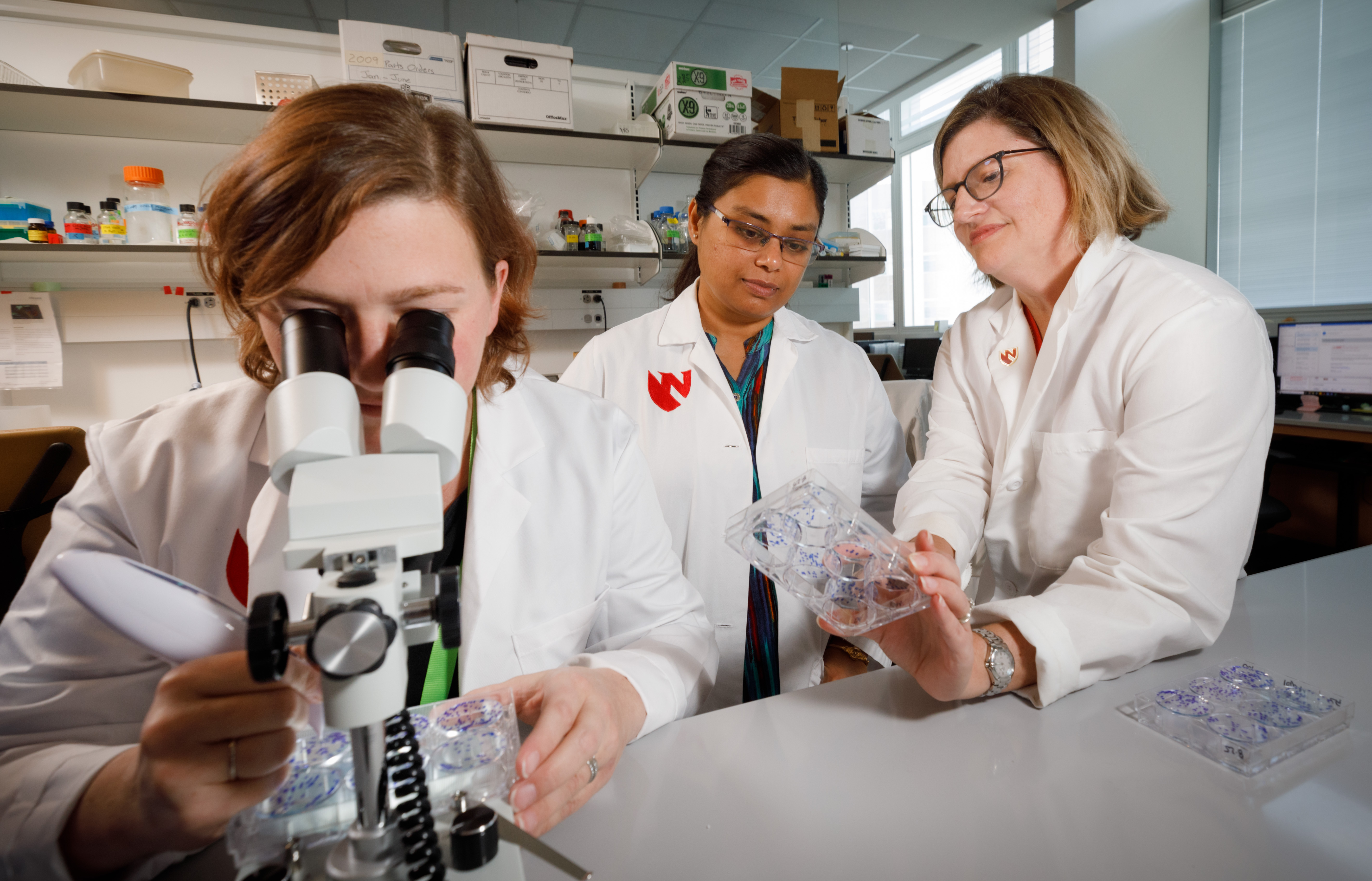 person looking in microscope in biochemistry lab while two researchers having a discussion in background