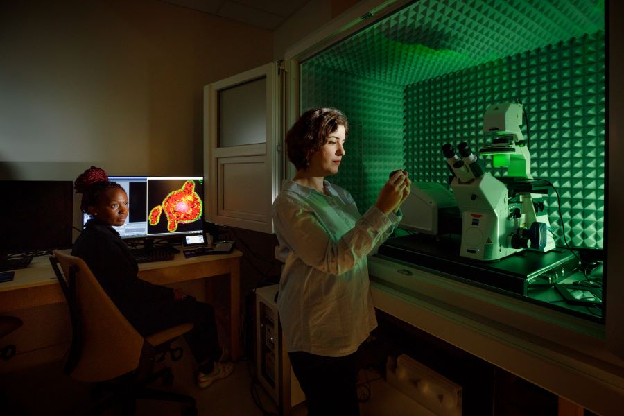 Two researchers examine tissue samples under a microscope.