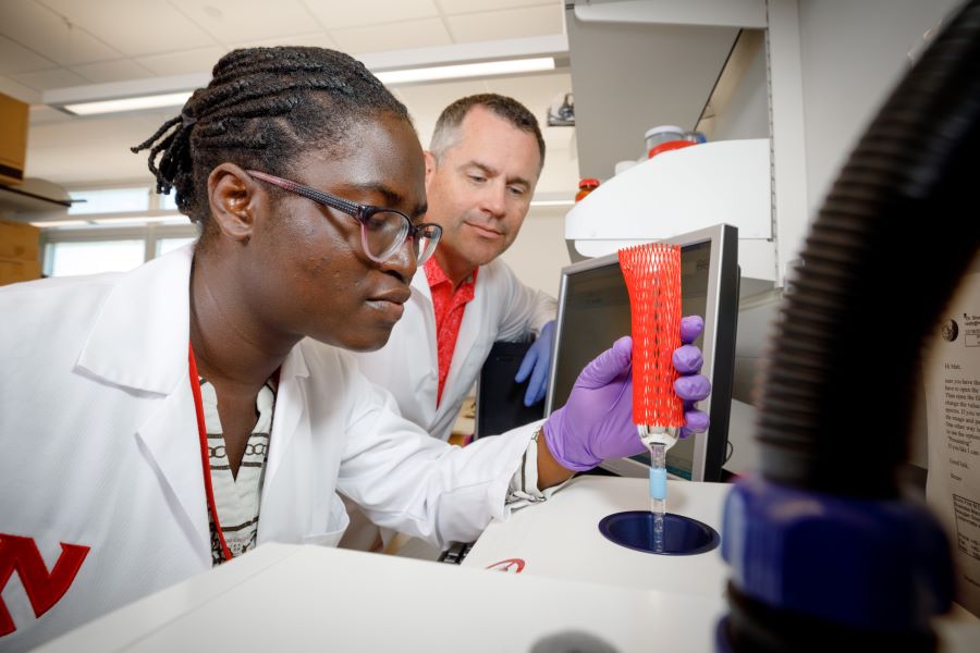 Two researchers work together in their laboratory.